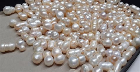 ebay pearls